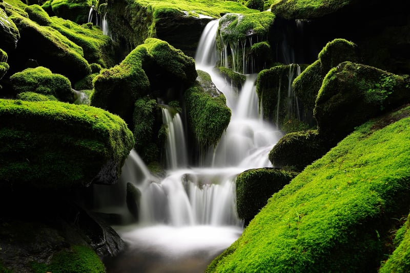 Enchanted Forest Falls